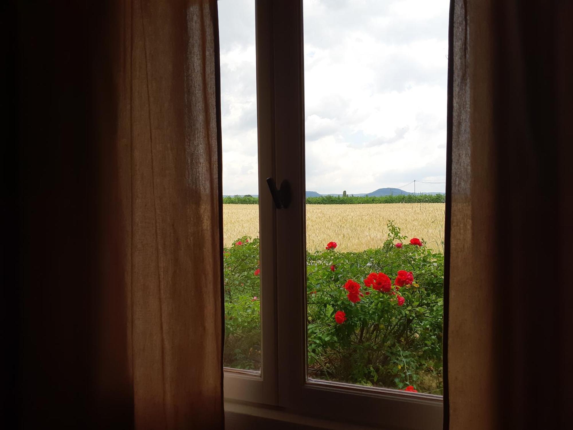 Chambres D'Hotes, B&B La Musardiere Alba-la-Romaine Екстер'єр фото